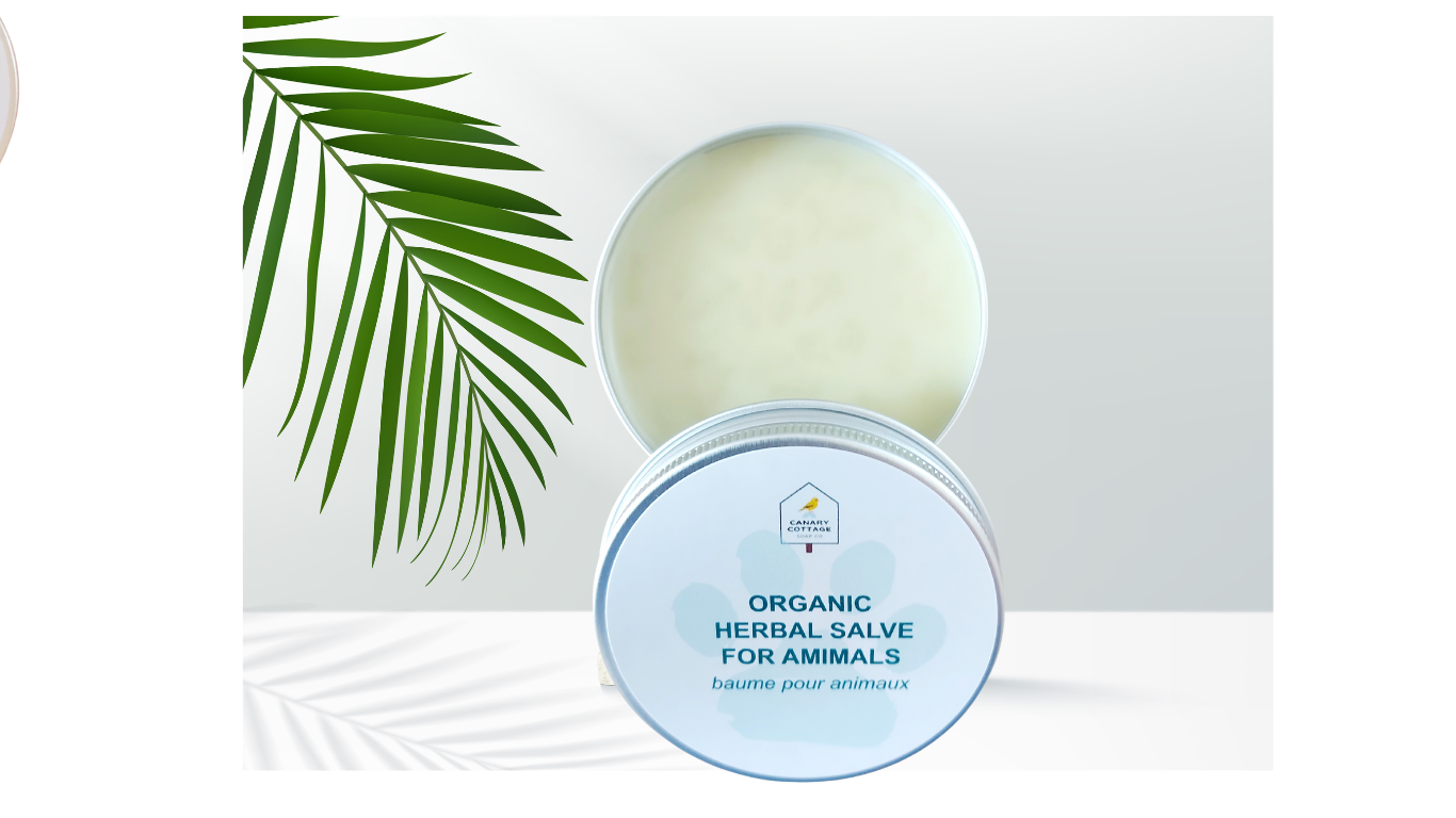 ORGANIC CANINE HERBAL SALVE