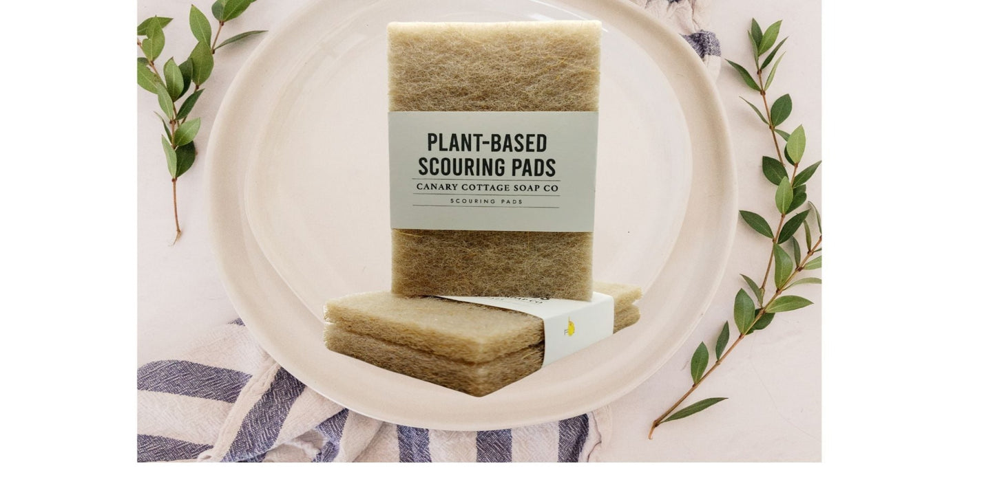 PLANT BASED SCOURING PAD- 2 pack
